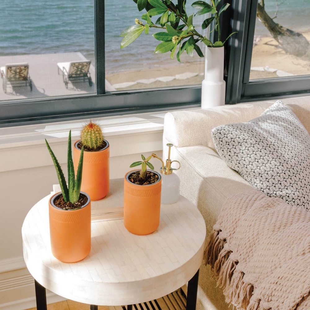 Modern Sprout Terracotta: Healing Aloe Hydro Grow Kit